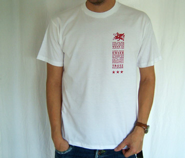 14 | Trotz Alledem Denkmal T-Shirt ... jetzt in dieser Farbkombination mit Brust- und Rückenprint.